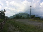 IMG_1519.jpg