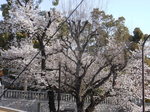 R1045746.JPG