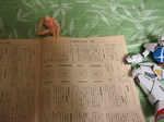 hom5.JPG
