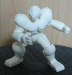 juu_kari1.jpg